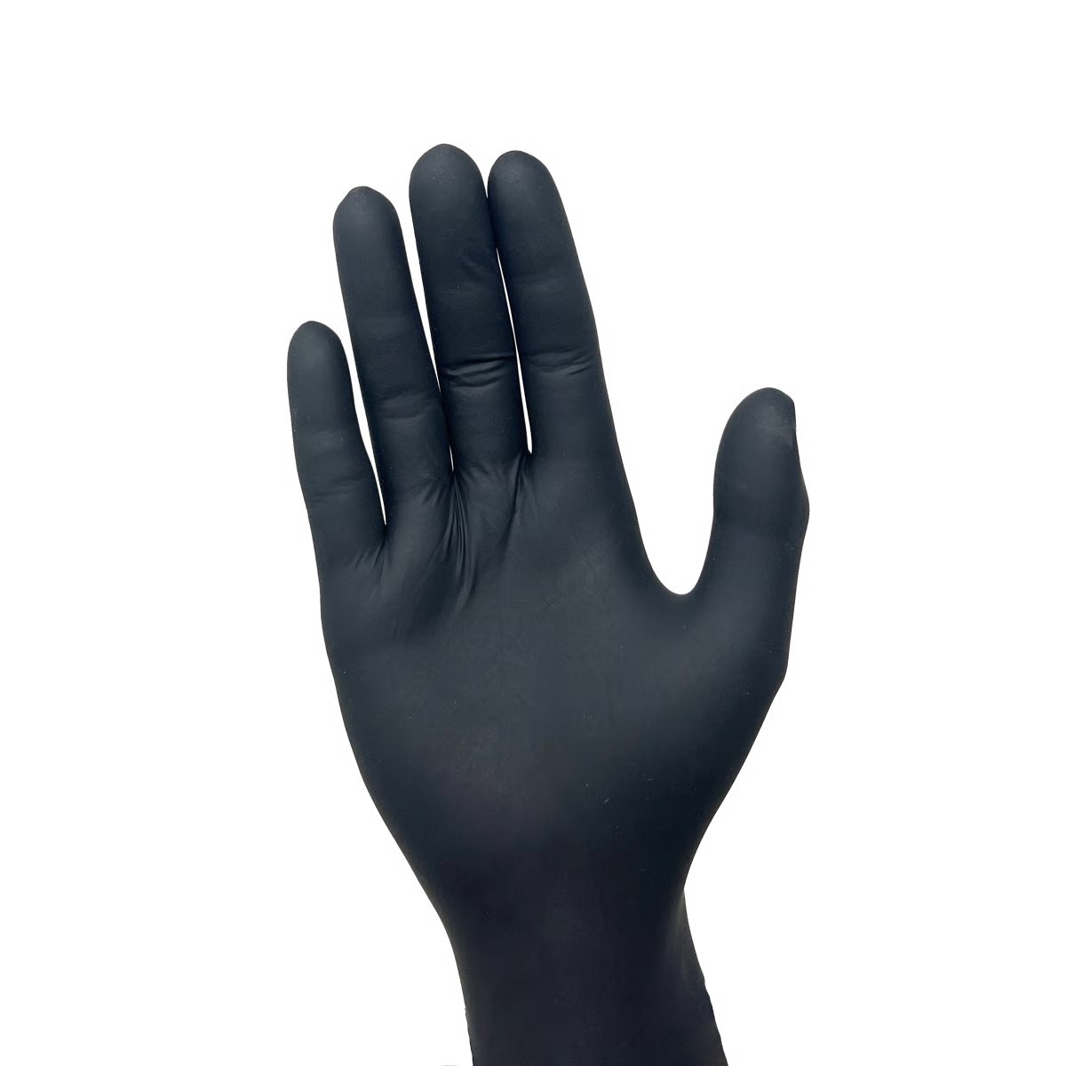 Black Label Latex Exam Gloves
